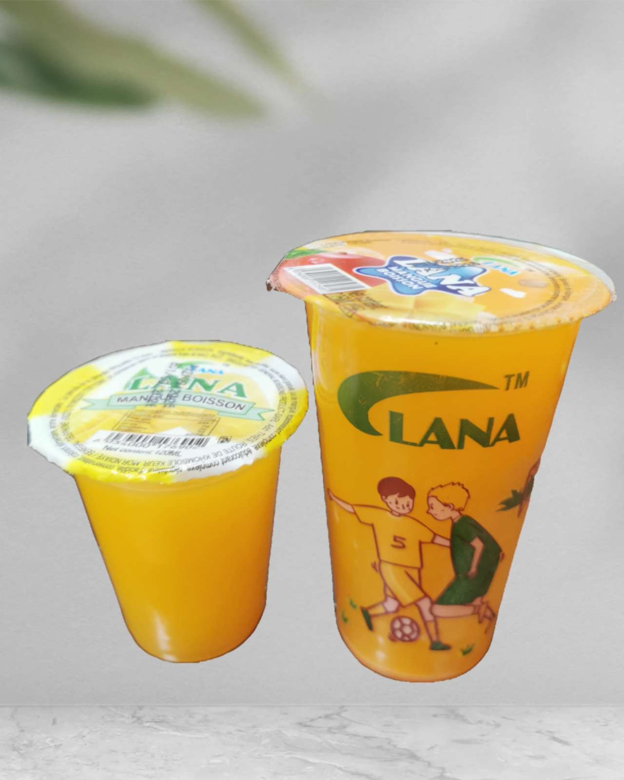 Produit LANA back